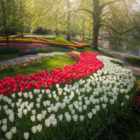 The Most Beautiful Flower Garden In The World Has No