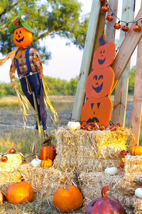 Halloween Pumpkin Patch Fall Decorating Ideas By Iris Nacole Com Iris