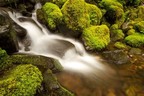 Boulder Cascade Creek Fall Flow Moss Mossy Nature Free Stock Photos In