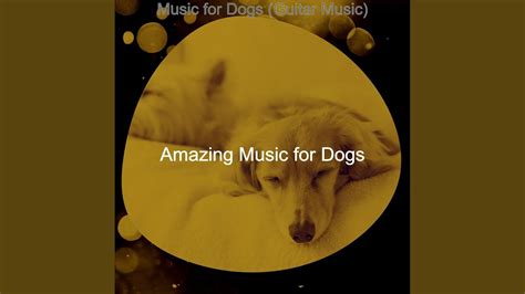Hypnotic Easy Listening Music Vibe For Dogs Youtube