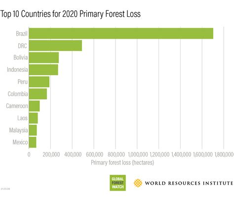 Foreste Nel 2020 La Loro Distruzione Ai Tropici è Aumentata Del 12