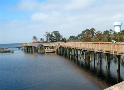 Duck Boardwalk Duckaway