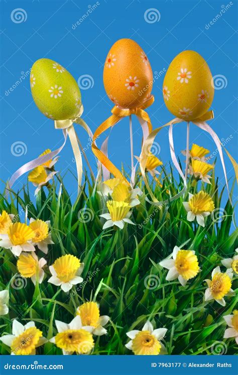 Daffodils And Easter Eggs Stock Image Image Of Festival 7963177