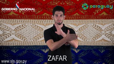 Zafar Youtube