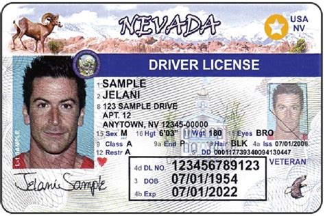 What's the difference between my old id and a real id? Real ID deadline 1 year away | Las Vegas Review-Journal