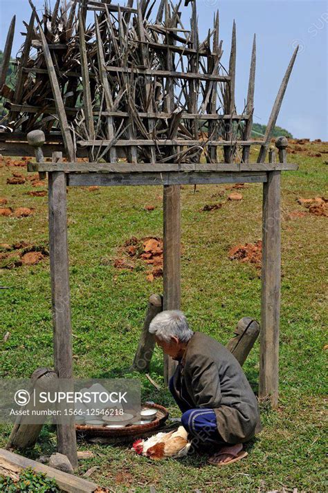 Shaman Preparing To Sacrifice Chicken In Akha Tribe Village In The