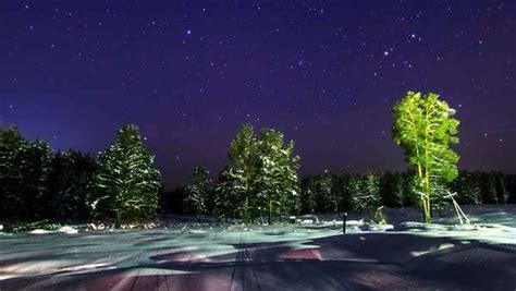 Timelapse Of Starry Night Sky And Treeline Winter Landscape Stock