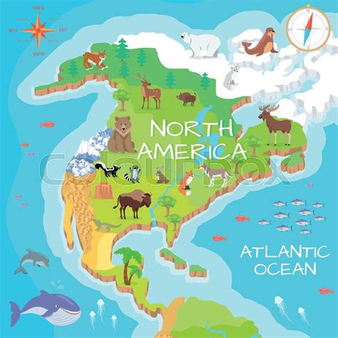 Stock Vector Of North America Isometric Map With Flora And Fauna