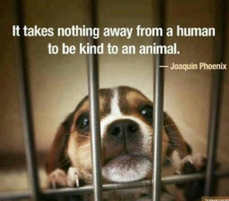 Quotes about kindness to animals (33 quotes) these pictures of this page are about:quotes about quotesgram. Quotes About Kindness To Animals. QuotesGram