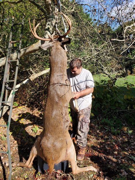 Paul Collett S 2019 Buck Paul Pollick S Whitetail Deer Lures