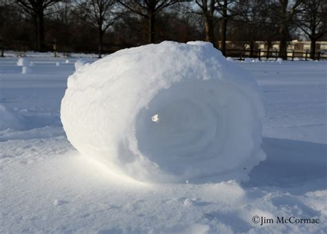Ohio Birds And Biodiversity Snow Rollers Snow Rollers
