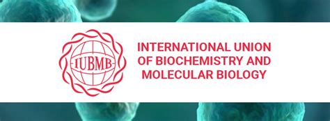 International Union Of Biochemistry And Molecular Biology Iubmb
