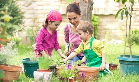 Gardening With Kids How It Affects Your Pbs Kids For Parents
