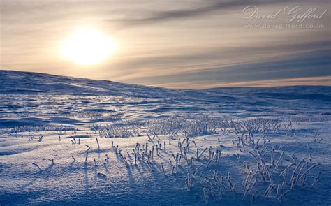 Winter Wilderness David Ford Photography