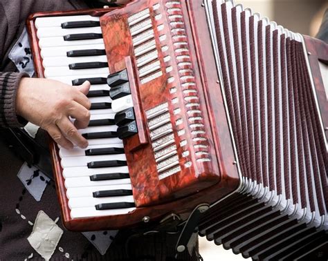 Expert Accordion Instruction And Performances This Year Spanish Peaks