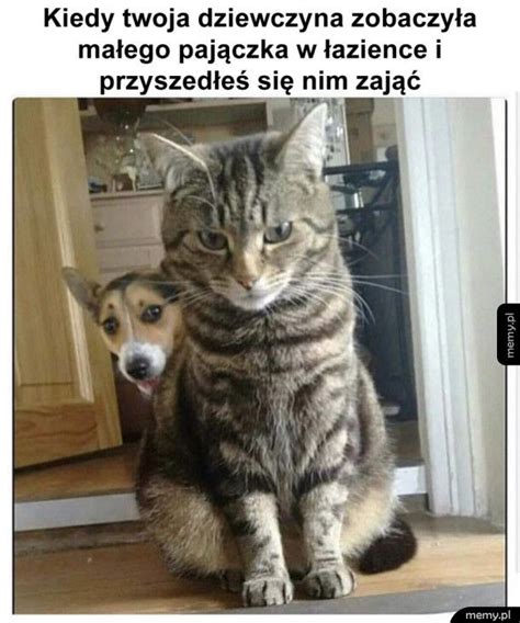 Codziennie dostarczamy najświeższy sort memów na viralowe tematy z obecnych wydarzeń. To robota dla twardziela - Memy.pl