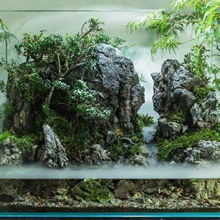 植物男子 AsuはInstagramを利用しています paludarium terrarium terrariums