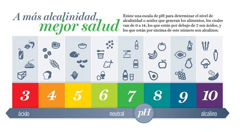 Cómo Hacer La Dieta Alcalina By Bionutrición Ortomolecular
