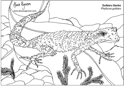 Free Endangered Animal Colouring Pages — Alicia Rogerson Art