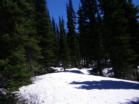 Starting in palm springs, calif., the trail offers an extreme physical challenge while also providing a unique outdoor setting with amazing views. Stagman Ridge on Mt Adams, with spring snow | deanmyerson.org