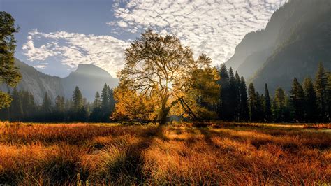 California Meadow Mountain With Trees During Sunrise Hd