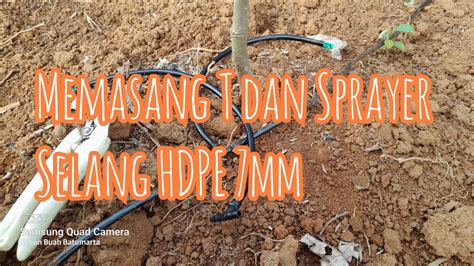 Cara Memasang Selang HDPE Mm Untuk Penyiraman Kebun Durian YouTube