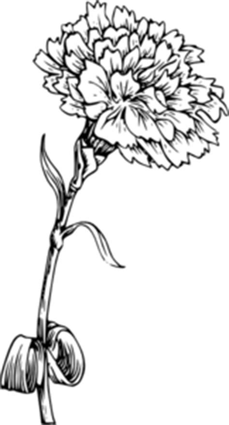 Easy flower drawing line drawing wildflowers sweet william and. Carnation Clip Art at Clker.com - vector clip art online ...