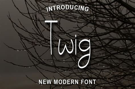 Twig Font Free And Premium Download