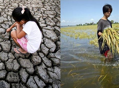 El Niño And La Niña What You Need To Know Philippine Primer