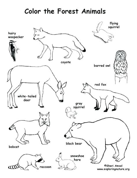 Arctic Dogs Coloring Pages Coloring Pages