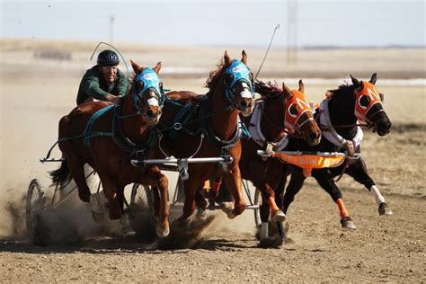 To Behold The Beauty Chariot Racingalive And Well In The Western U S