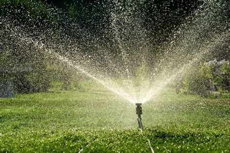 Using A Sprinkler System To Provide Irrigation For Your Yard
