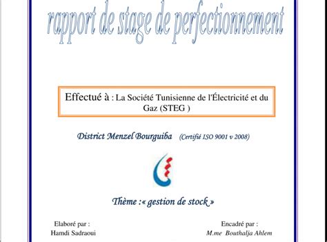 PDF Rapport de stage PFE chez STEG Tunisie ~ StagePFE