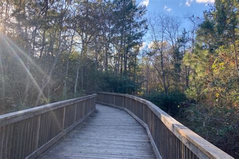 George Mitchell Nature Preserve Provides Forested Trails In The