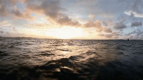 Motion Graphics Instagram Gif Ocean Animated Waves Water Sunset