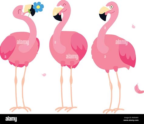 Flamingo Cartoon Stock Vector Images Alamy