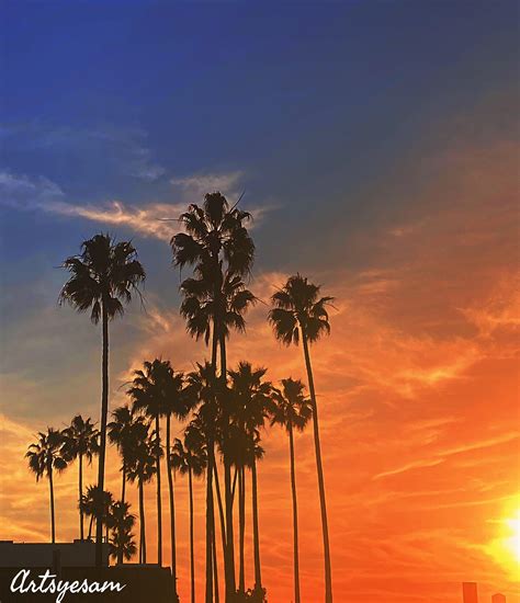 We Love San Diego Sunsets Rsandiegophotography