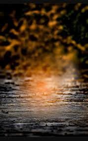 Image result for cb edit background hd (With images ... Forest blur cb background editing for picsart (blurred.