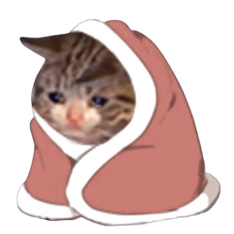 0 Result Images Of Sad Cat Meme Png Png Image Collection