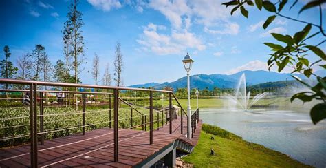 What activities can be enjoyed while at the farm? Get A Full Private Tour Of Eco Forest's Show Village At ...