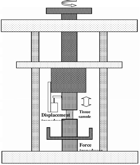 Schematic Diagram Of The Tensile Testing Apparatus Used In The Study Of