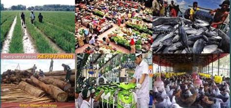 Beberapa buah pelabuhan yang ada di tanah melayu seperti melaka dan temasik (singapura sekarang). Apa Saja Jenis Usaha Dan Kegiatan Ekonomi Masyarakat Di ...
