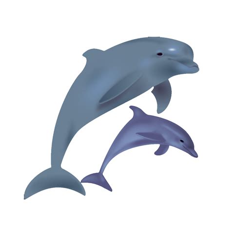 Dolphins Clipart Bottlenose Dolphin Dolphins Bottlenose Dolphin