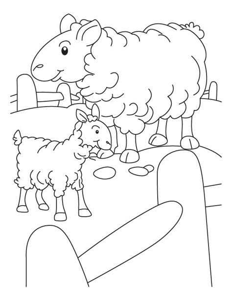 √14 Gambar Mewarnai Domba Untuk Tk Paud Sd