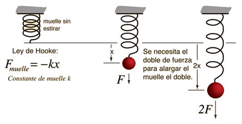 ¿qué es la elasticidad (física)? Elasticity, Periodic Motion