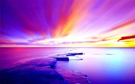 Beautiful Colors Of Nature Hd Photoshoot Wallpaper 1920x1200 Download