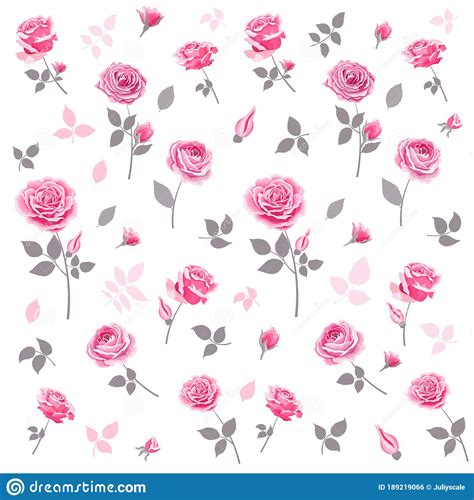 Seamless Pattern With Pink Roses Stock Vector Illustration Of