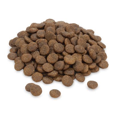 Ob wolfsblut hundefutter, josera hundefutter oder hundefutter von bosch, auf hundeland.de werden hundeträume wahr. Greenwoods 1,5 kg zum Probierpreis! | zooplus.ch