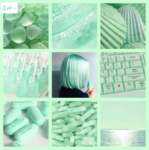 Pastel Green Aesthetic Aesthetics Amino