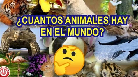 Cuántos Animales Hay En El Mundo Animales Wiki